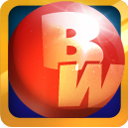 Bingo World icon